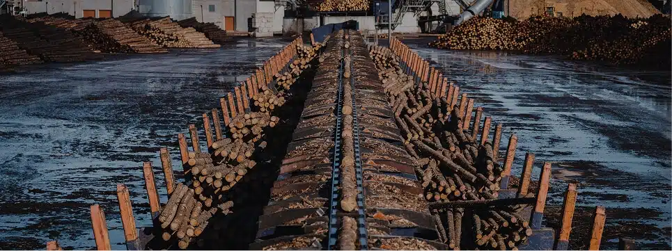 Meet our company: AS Toftan – Sawmilling